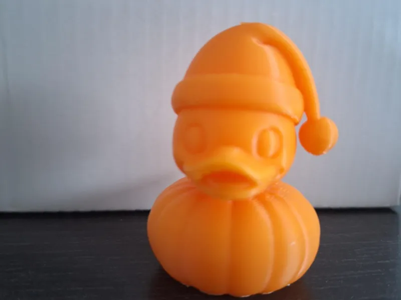 pumpkin duck