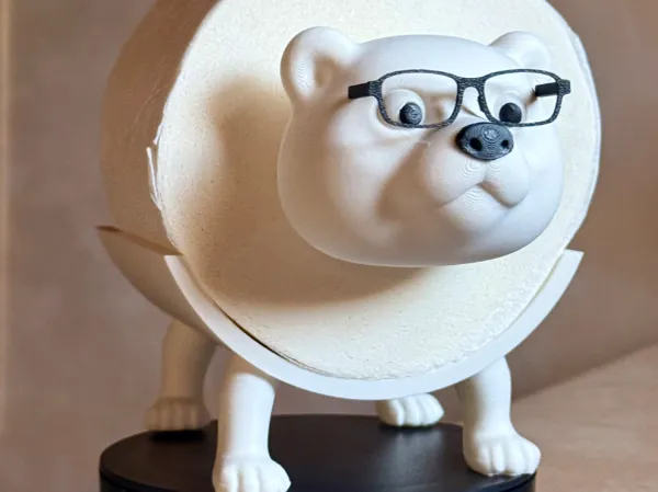 https://makerworld.bblmw.com/makerworld/model/USd9e8ecbd64f303/design/20f2466f4267e7a1.jpeg