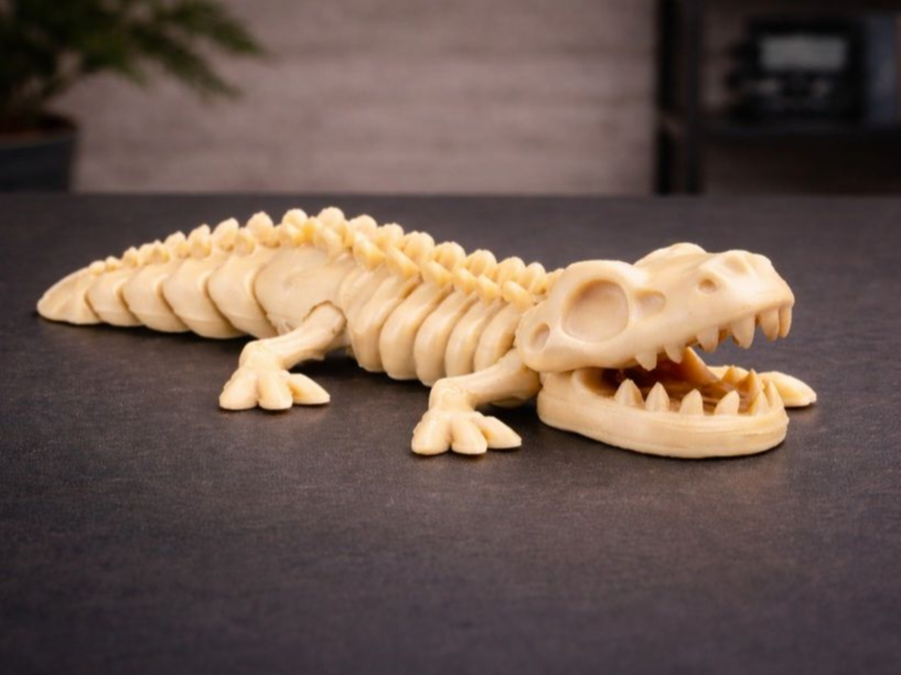 Articulated Skeleton Crocodile - No Supports! 