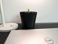 0.2mm layer, 3 walls, 20% infill