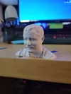 0.08mm layer, 2 walls, 15% infill