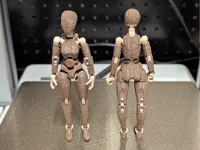 110% scale, PETG frame 0.16mm layer, 2 walls, 15% infill