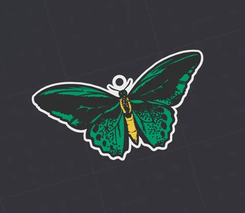 Birdwing Butterfly Keychain & Earrings view 2