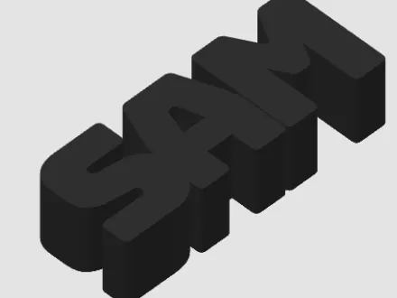 Sam name