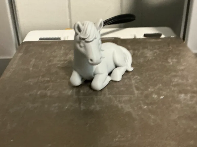 Cute laying down horse