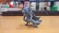 0.2mm nozzle, 0.06mm layer, 3 walls, 15% infill