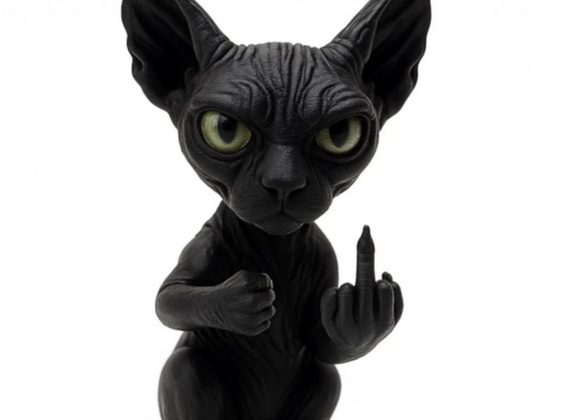 Chat Sphynx rebelle