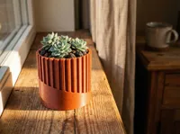 Collection de pots à succulentes minimalistes (lot de 3) — photo 6