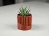 Succulent Pot V1; 0.2mm layer, 2 walls, 5% infill