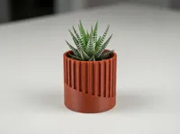 Collection de pots à succulentes minimalistes (lot de 3) — photo 5