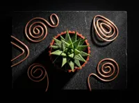Collection de pots à succulentes minimalistes (lot de 3) — photo 8