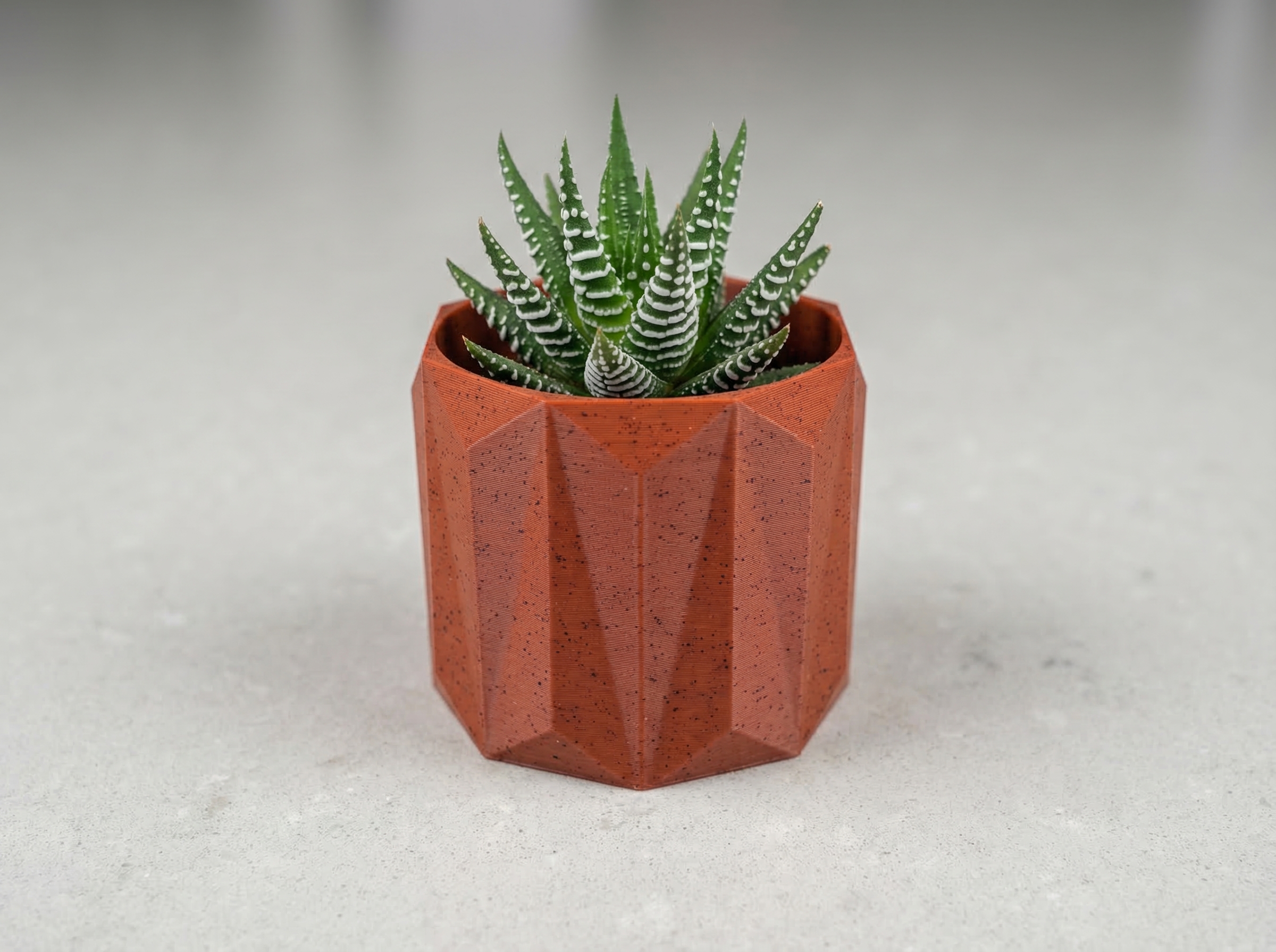 Miniatura 4 do modelo 3D Minimalist Succulent Pot Collection - Set of 3
