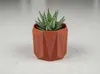 Succulent Pot v2; 0.2mm layer, 2 walls, 5% infill
