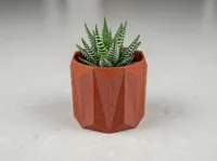 Succulent Pot v2; 0.2mm layer, 2 walls, 5% infill