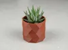Succulent Pot V3; 0.2mm layer, 2 walls, 5% infill