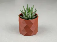 Collection de pots à succulentes minimalistes (lot de 3) — photo 9
