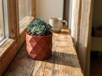 Collection de pots à succulentes minimalistes (lot de 3) — photo 10
