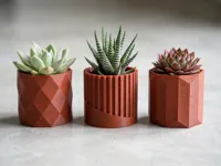 Collection de pots à succulentes minimalistes (lot de 3) — photo 1