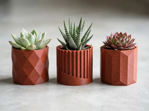 Collection de pots à succulentes minimalistes (lot de 3)