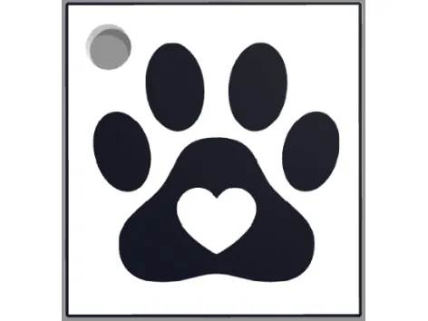 portachiavi targhetta dog con zampa