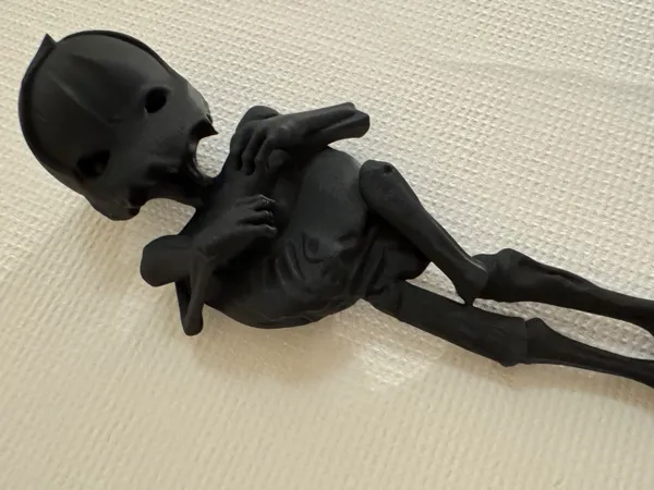 https://makerworld.bblmw.com/makerworld/model/USda0a9e80579ac0/design/053b71d0cb5ede69.jpg
