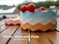 “Wave” Stackable Plate for PLA Pure