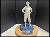 0.16mm layer, 2 walls, 15% infill