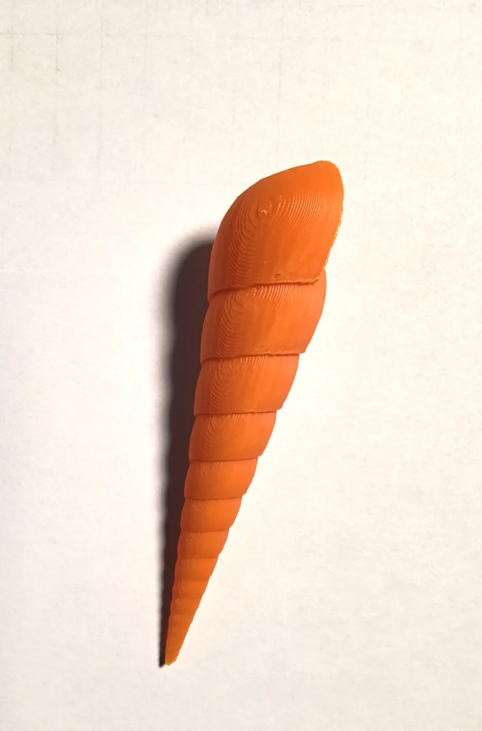 Miniatura 4 do modelo 3D 五颜六色的贝壳系列
