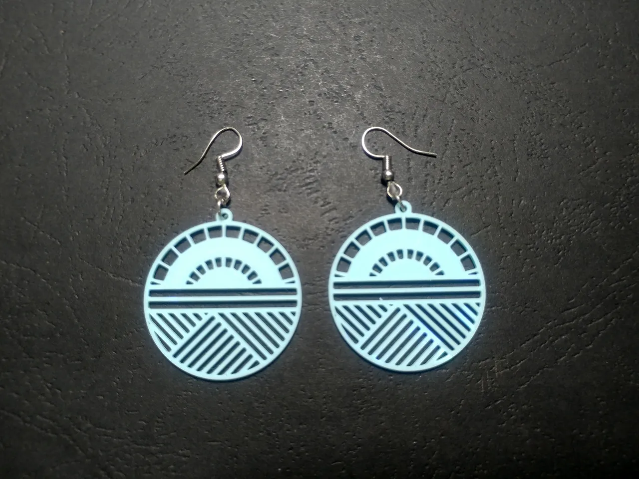 Orbic Seal Earrings view 4