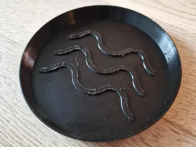Wave Plant Pot Saucer