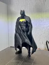 The Dark knight - two colors