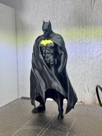 The Dark knight - two colors