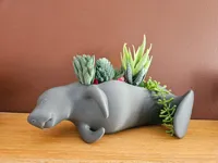 Manatee Lounging - Multi-Material