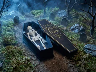 "Rest in Peace" Magnetic Coffin for Flexi Skeleton