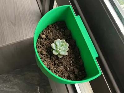 Potted plant for hanging on windows