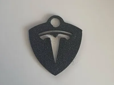 Tesla keychain