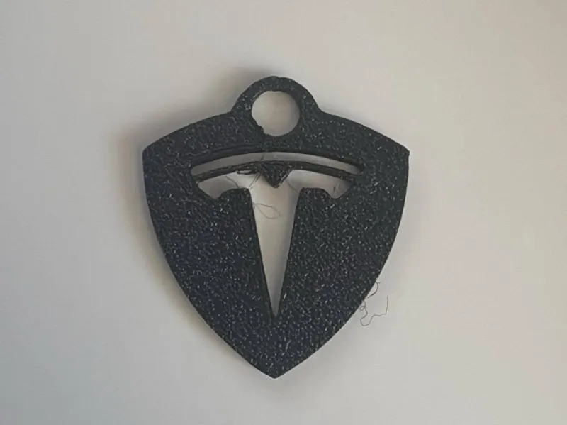 Tesla keychain