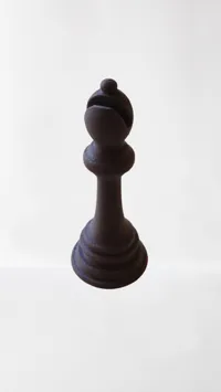 Fou d'échecs (norme FIDE) — photo 2