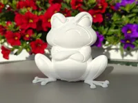 Angry Pouting Frog