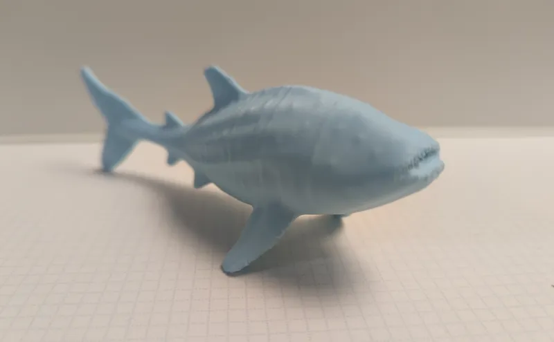 Whale shark