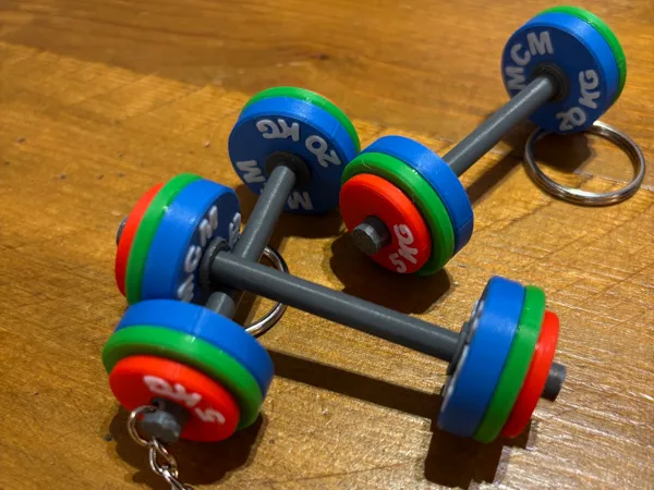 https://makerworld.bblmw.com/makerworld/model/USda224a613adb59/design/2025-02-01_babef673de20f8.jpg