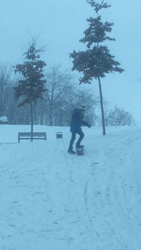 Snow Skate Board
