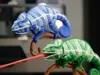4-color printing chameleon