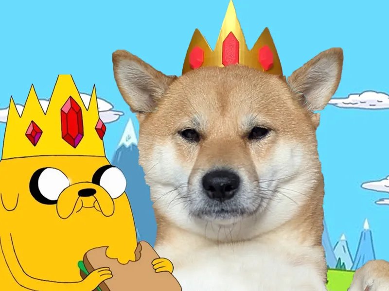 Ice King's Crown - Adventure Time Dog Pet