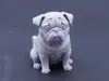 sitting pug