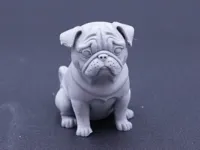 sitting pug