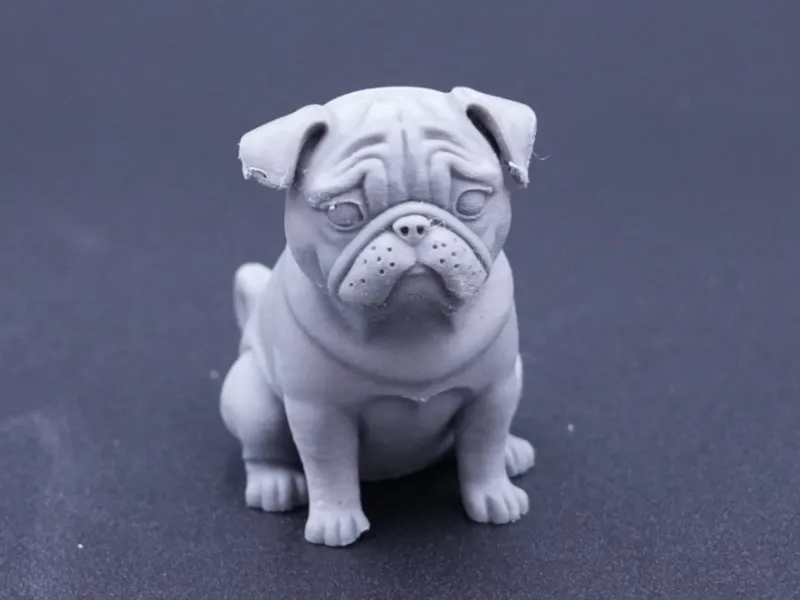 pug sitting
