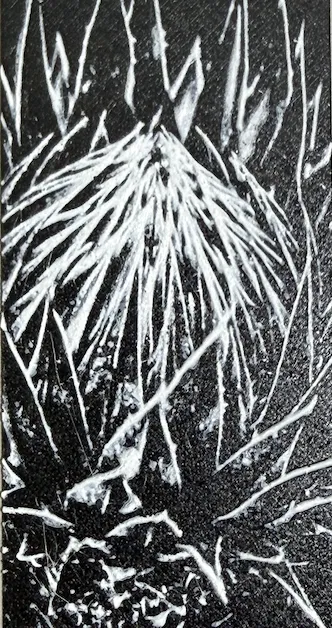 Thistle Bookmark (0.2mm) view 3