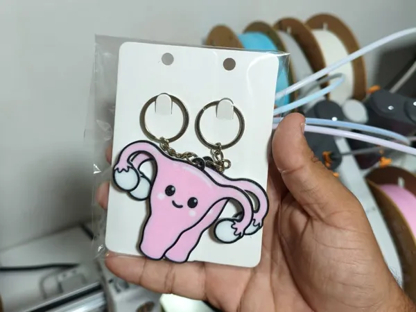https://makerworld.bblmw.com/makerworld/model/USda316c392938cd/design/33ed0f12180d88b4.jpg