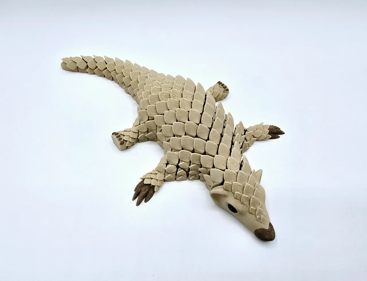 Flexi Pangolin view 4